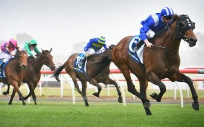 Geelong Cup 2018