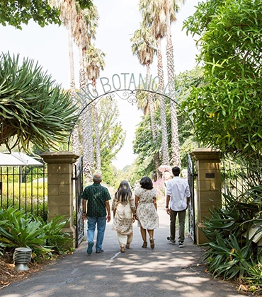Explore the best of Geelong Botanica