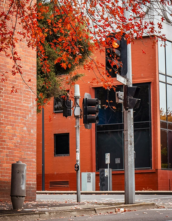 Explore the best of Geelong