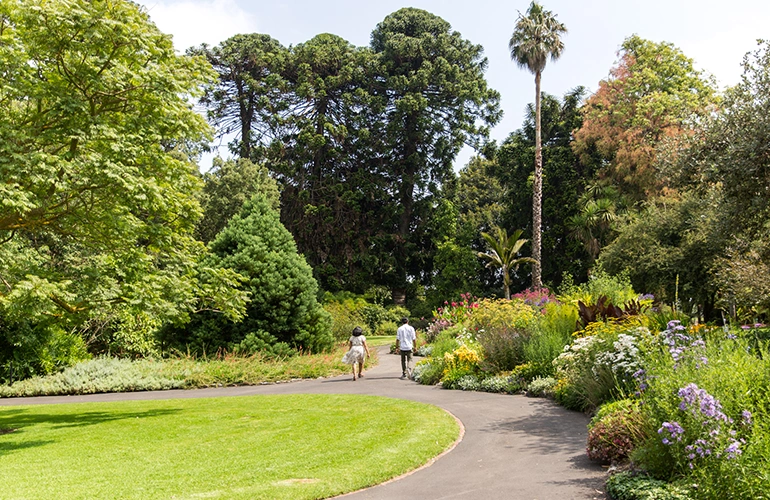 Geelong Botanic Gardens