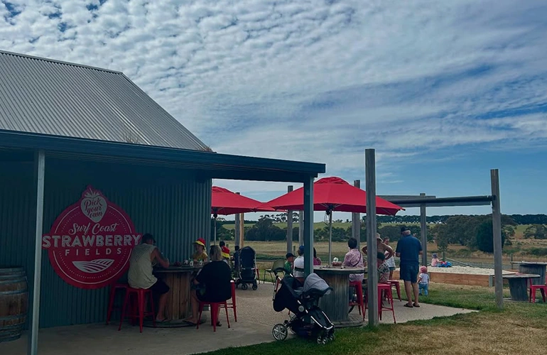 Surf Coast Strawberry Fields